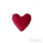 Charme et Douceur Himalaya Coussin Cœur Compresse  Polyester  Rouge  40x40 cm - B074C5R3TS